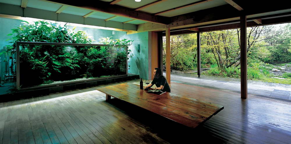 Nature Aquariums 1