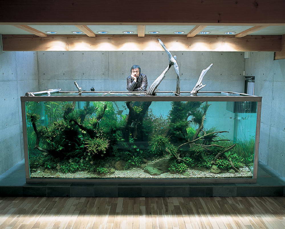 Nature-Aquariums-2.jpg