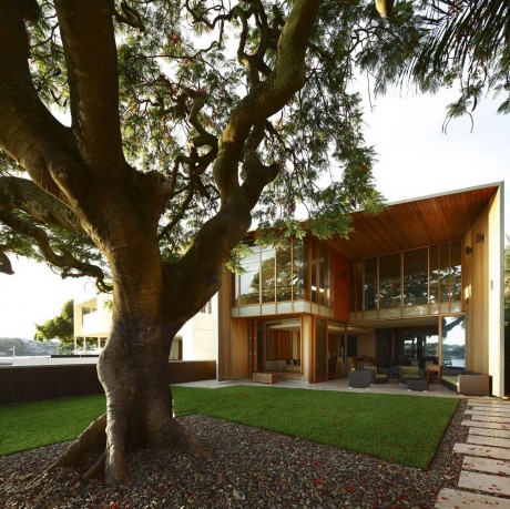 Дом с деревом в Австралии
