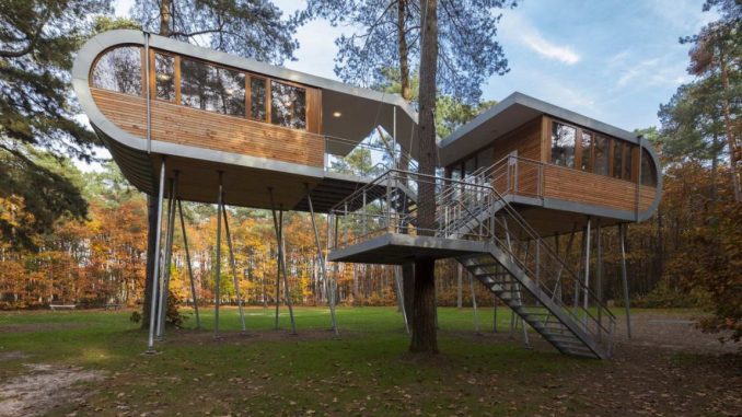 TreeHouse 1