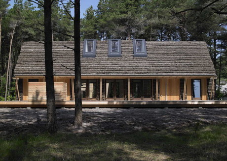 Лесной дом из водорослей в Дании