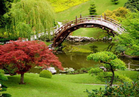 Особенности и основные элементы японского сада.