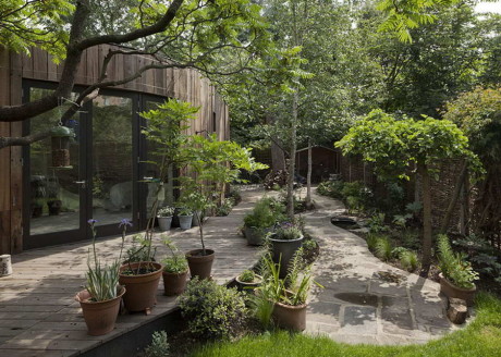 Дом у дерева (Tree House) в Англии от 6a Architects.