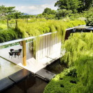 The Willow House 4 135x135 Дом сад в Сингапуре 2 ландшафт бассейн 