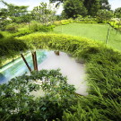 The Willow House 5 135x135 Дом сад в Сингапуре 2 ландшафт бассейн 