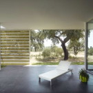 Дом в дубовой роще (House in an Oak Grove) в Испании от Murado & Elvira Arquitectos.