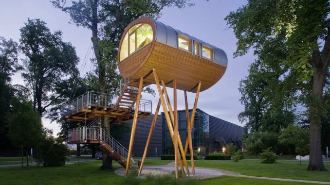 Treehouses - домики на дереве Treehouses - домики на дереве