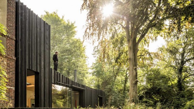 Black Wood House 5