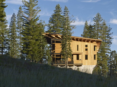 Дом Гнездо Вороны (The Crows Nest) в США от BCV Architects.
