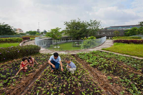 Spirals Farming Kindergarten 5