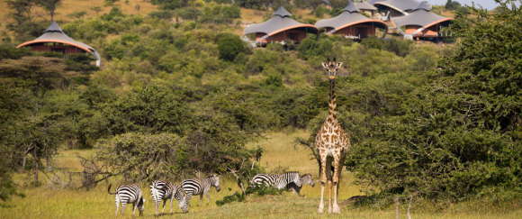 Mahali Mzuri 18