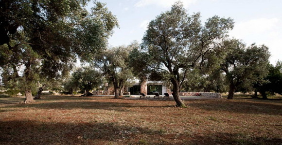 Дом в оливковой роще (Casa nel bosco di ulivi) в Италии от Luca Zanaroli architetto.