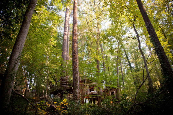 Уединённый домик на дереве (Secluded Intown Treehouse) в США.