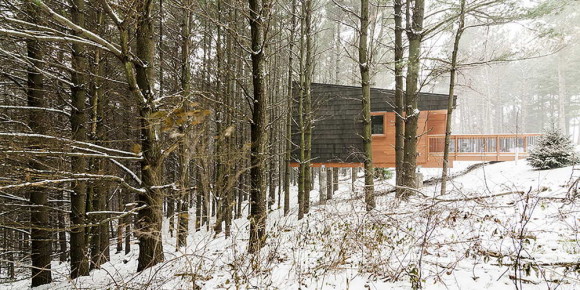 Whitetail Woods Cabins 3