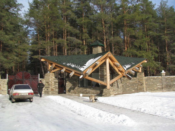 House in a pine forest 15