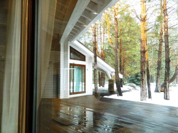 House in a pine forest 5