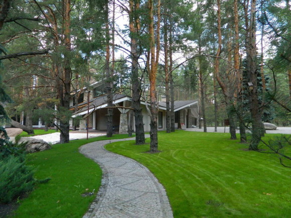 House in a pine forest 8