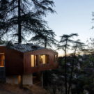 Дом в деревьях (House in Trees) в США от Anonymous Architects.