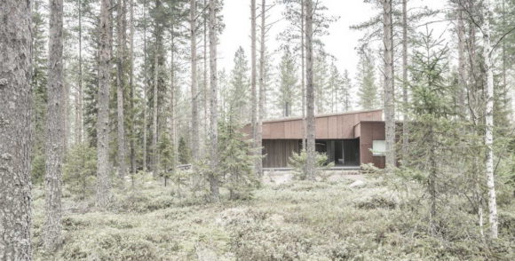 Лесной дом в Финляндии