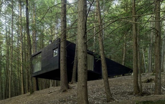 Дом на дереве в США от Jacobschang Architecture.