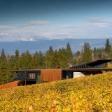 Дизайн этой винодельни, спрятанной на склоне холма, проводит параллель между топографией земли и процессом виноделия, происходящим внутри.