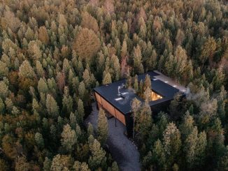 Лесной дом с двором в Чили