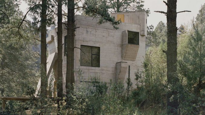 Лесной дом-скульптура из бетона в Мексике
