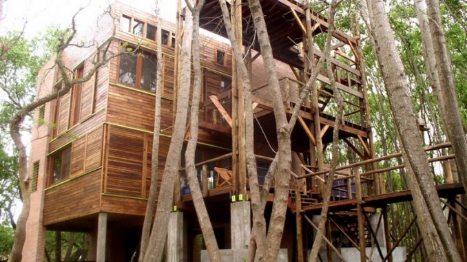 Casa del Arbol 1