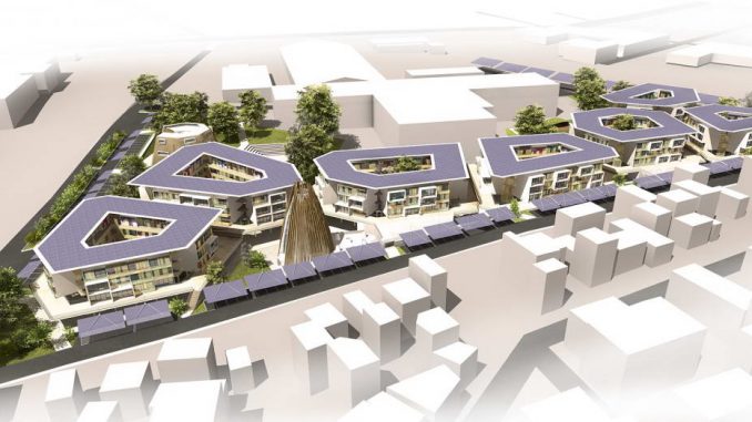 Coral City 1