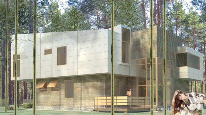 House-in-the-Pines-2