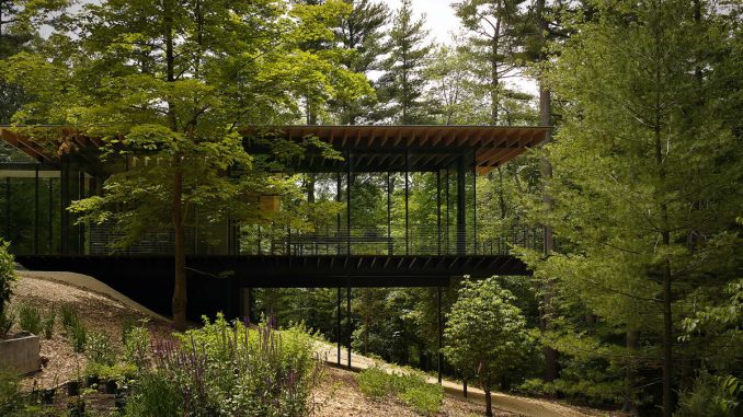 Glass Wood House 1