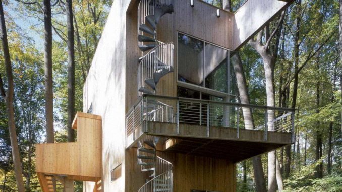Tree_House 2