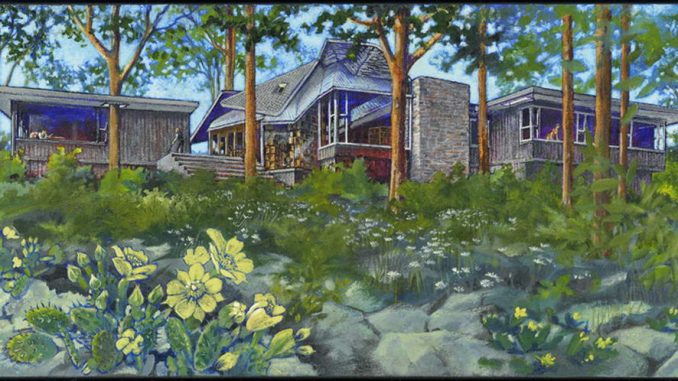 Concept House 1