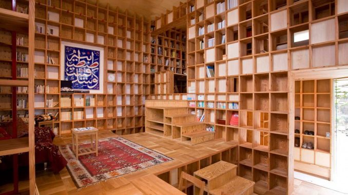 Shelf-Pod 3