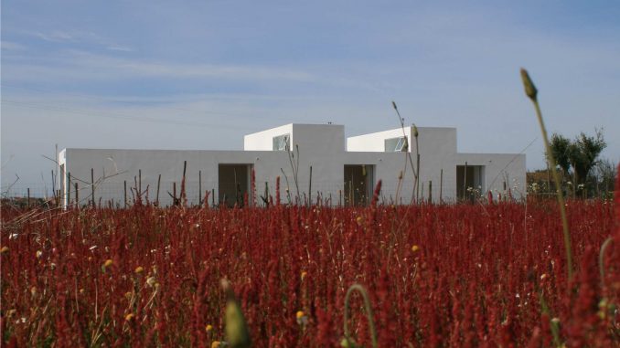 House in Alpiarca 11