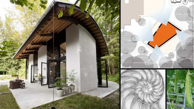 Nautilus Studio 14