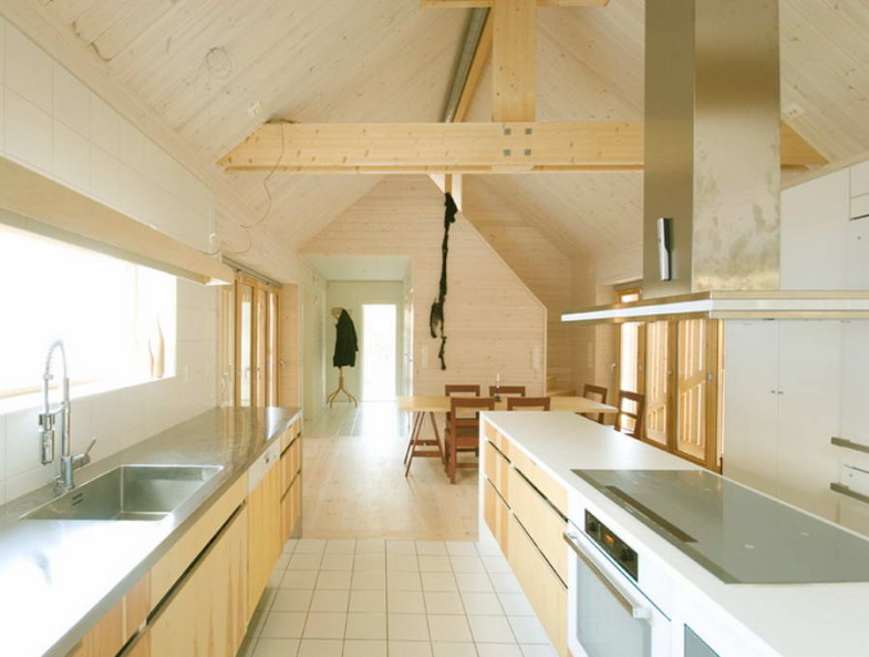 Проект дома-сарая в Швеции