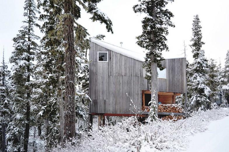 Альпийский домик - проект горного деревянного дома в лесу