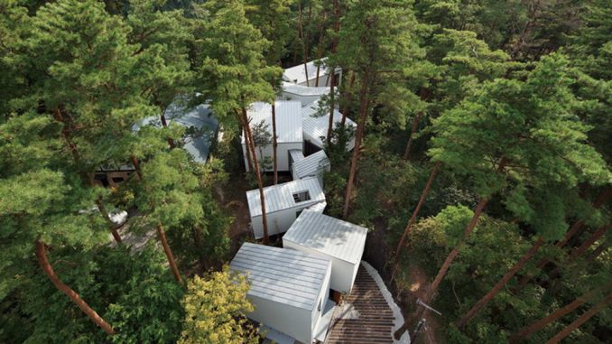 Лесной дом в Японии