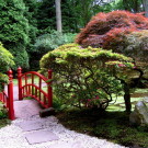 Мосты в японском саду