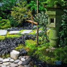 Японские фонарики в японском саду