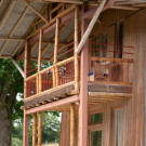 Бамбуковые дома во Франции