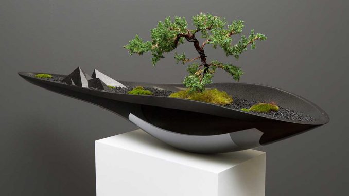 Плантатор Касокудо Бонсай (Kasokudo Bonsai Planter) от Adrian Magu.