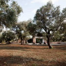 Дом в оливковой роще (Casa nel bosco di ulivi) в Италии от Luca Zanaroli architetto.