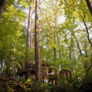 Уединённый домик на дереве (Secluded Intown Treehouse) в США.