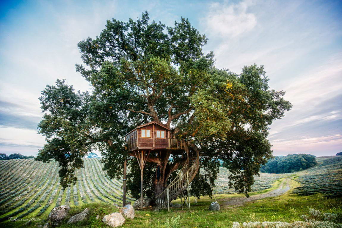 Домик на дереве в Италии