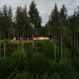 Очень простой лесной дом