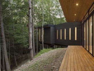 Дом с видом на лес в США