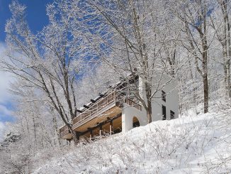 Загородный дом на лесистом склоне в Канаде