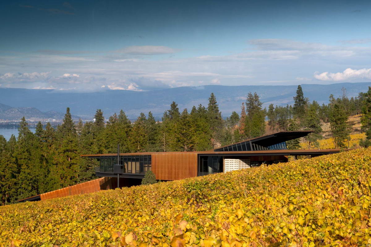 Дизайн этой винодельни, спрятанной на склоне холма, проводит параллель между топографией земли и процессом виноделия, происходящим внутри.